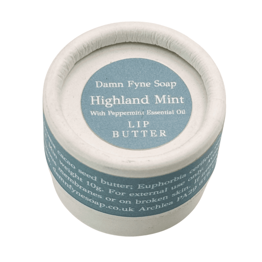 Highland Mint Lip Butter in a biodegradable cylindrical container with a soft blue label. Label reads “Damn Fyne Soap – Highland Mint – With Peppermint Essential Oil – Lip Butter.” Photographed from above on a white background, showing the lid and part of the container.