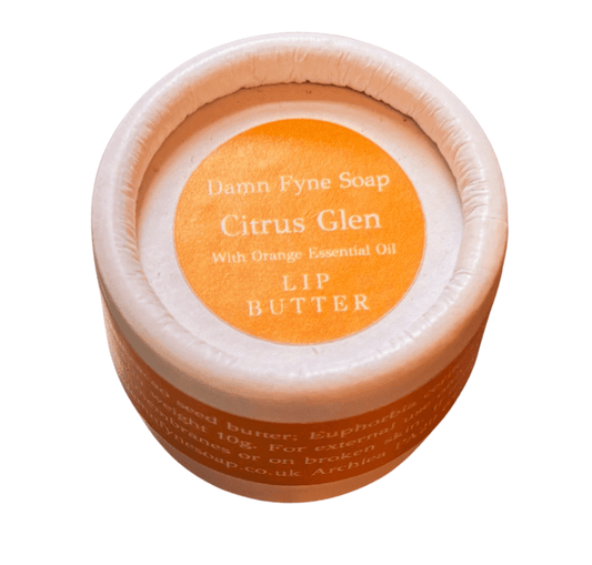 Citrus Glen Lip Butter in a biodegradable cylindrical container with a soft orange label. Label reads “Damn Fyne Soap – Citrus Glen – With Sweet Orange Essential Oil – Lip Butter.” Photographed from above on a white background, showing the lid and part of the container.