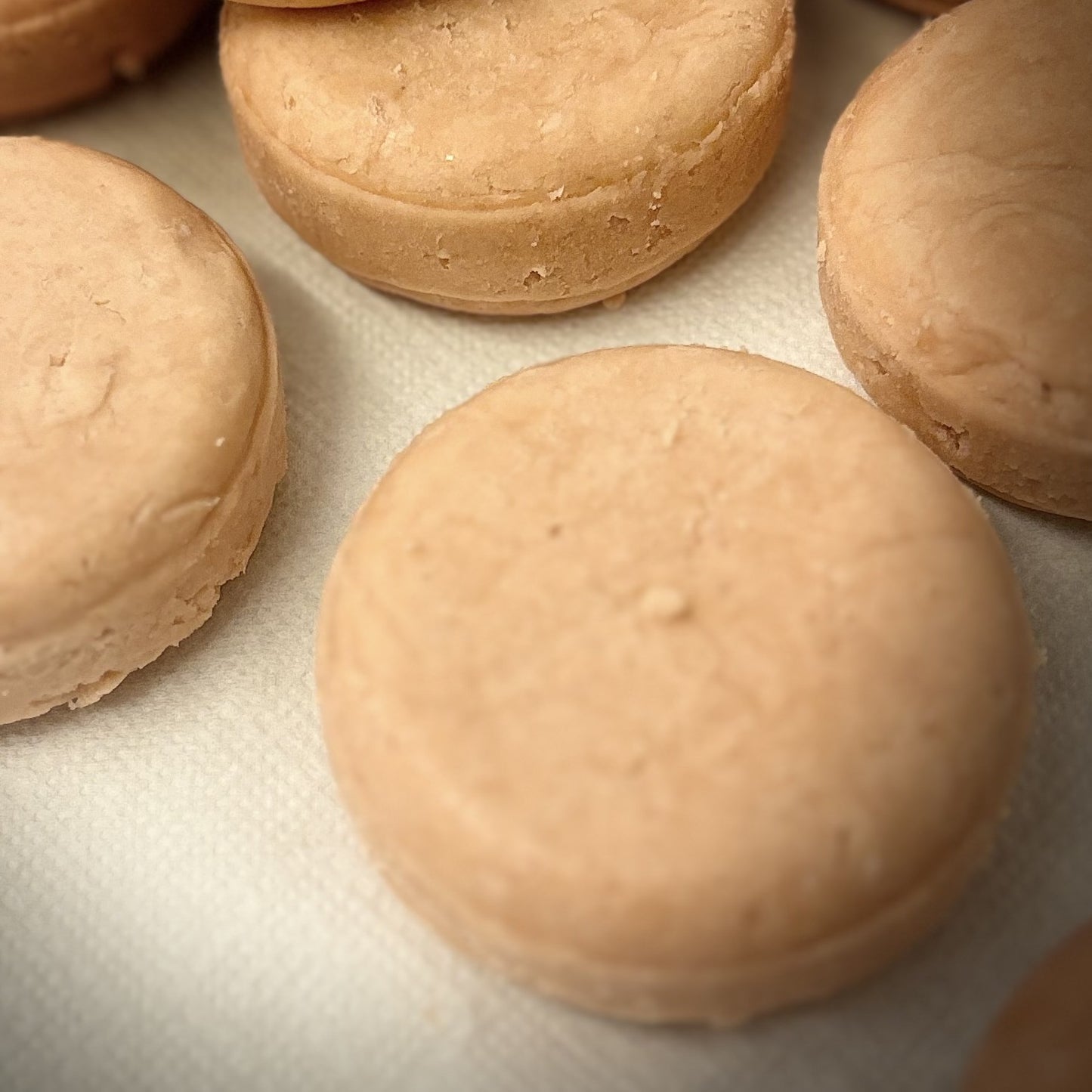 close up of shampoo bars
