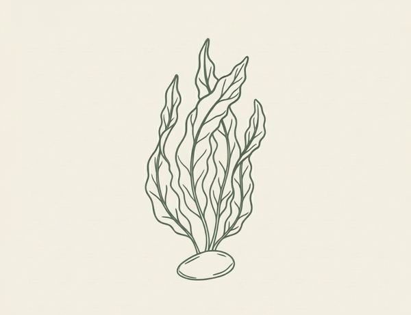 damn fyne soap logo