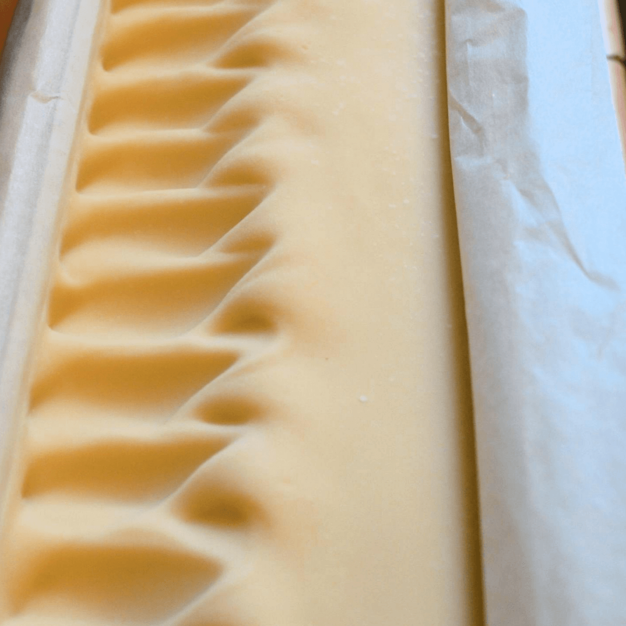 Close-up of the textured top of Cedar of Alba handmade soap