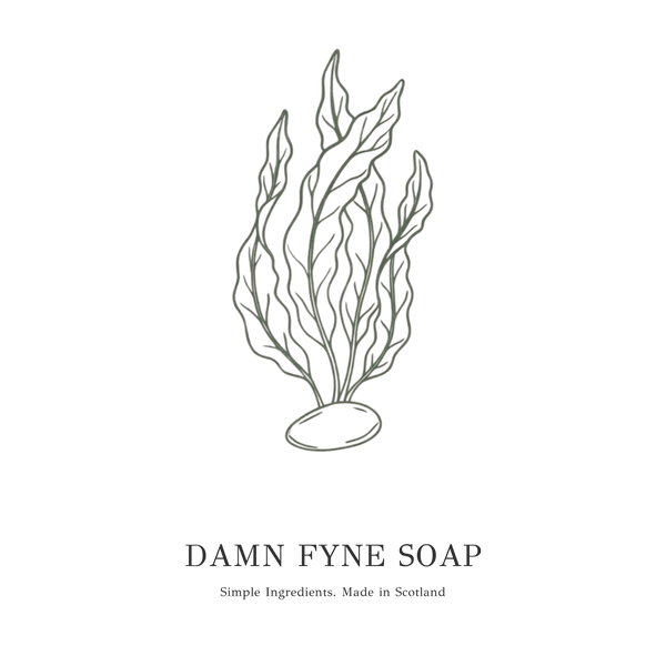 Damn Fyne Soap