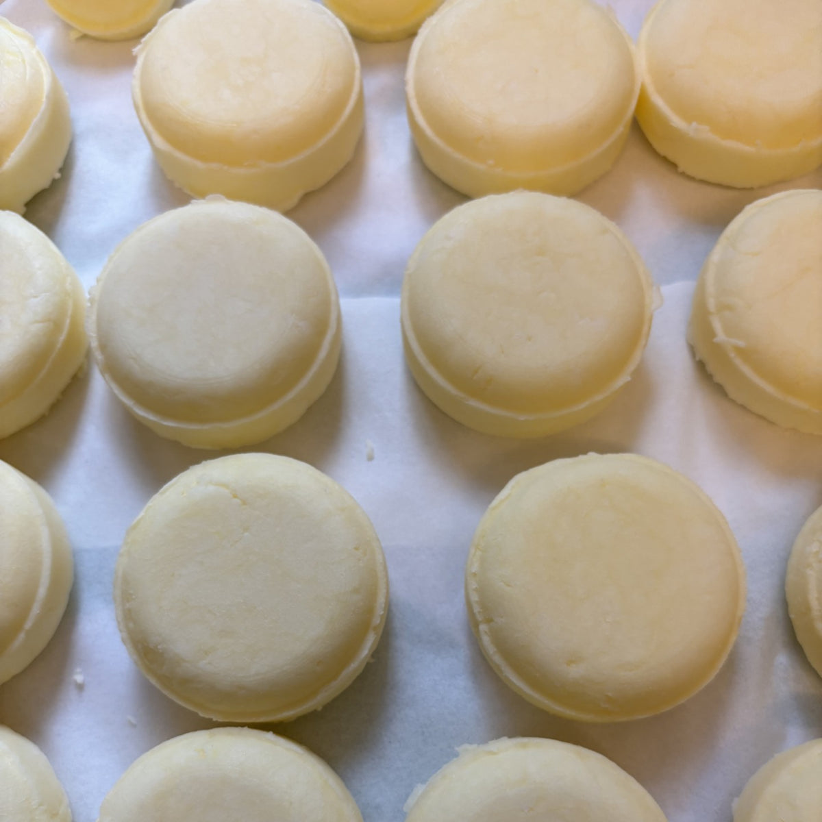 a close up of rose geranium and lemongrass shampoo bars freshly made