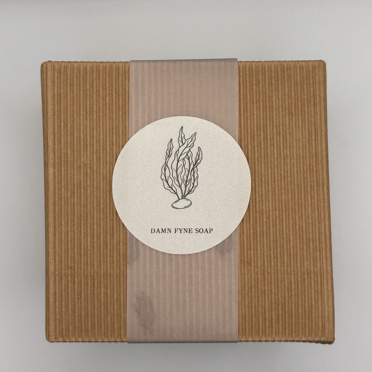 Six handmade soap gift box from Damn Fyne Soap, wrapped in vellum with seaweed logo